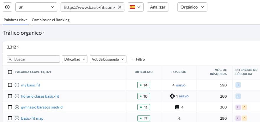 como hacer SEO para gimnasios