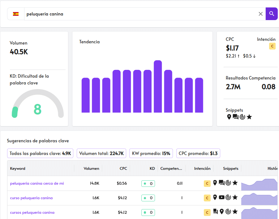 como saber el numero de búsquedas de una palabra en google con rankerfy