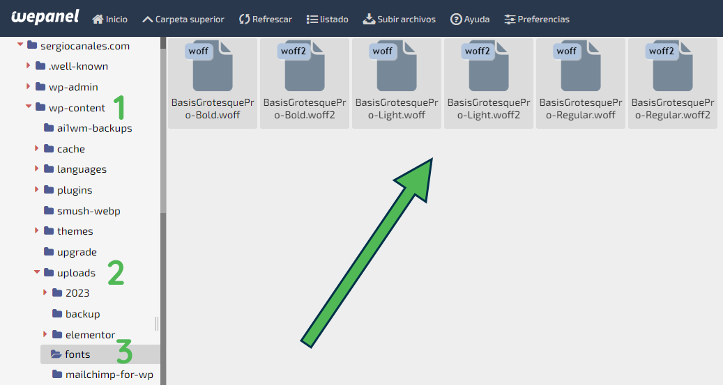 subir fuentes a Wordpress